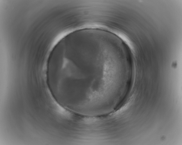 X0000095111046200712071212