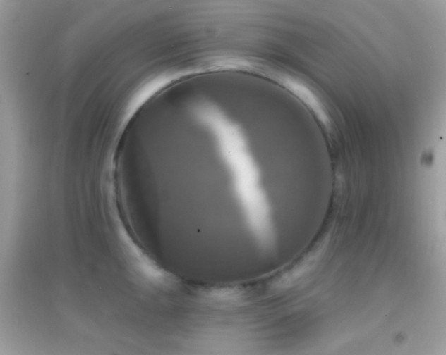 X0000095111047200712071212