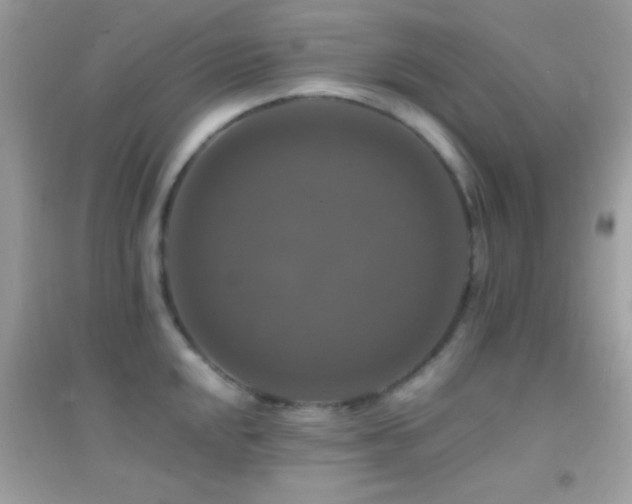 X0000095111048200712071212