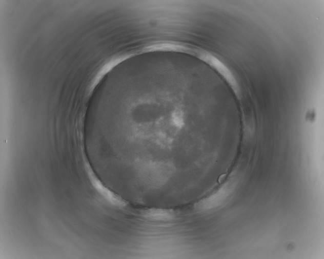 X0000095111049200712071212