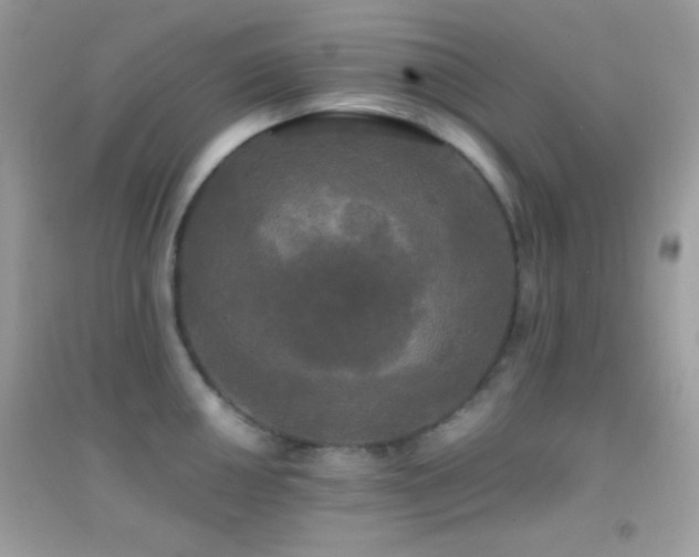 X0000095111050200712071212