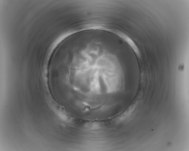 X0000095111051200712071212