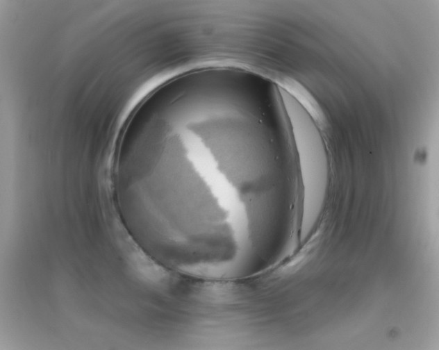 X0000095111052200712071212