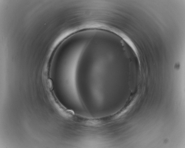 X0000095111053200712071212