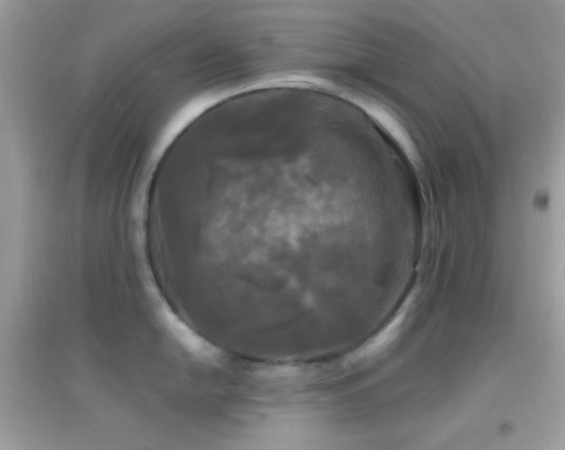 X0000095111054200712071212