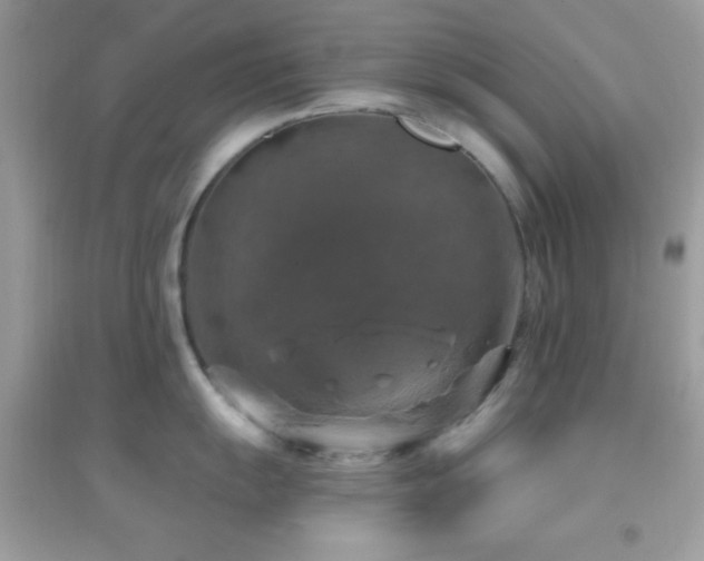 X0000095111055200712071212