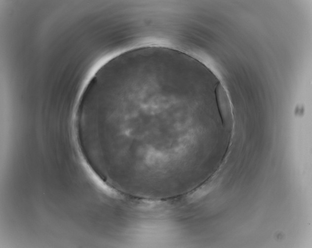 X0000095111056200712071212