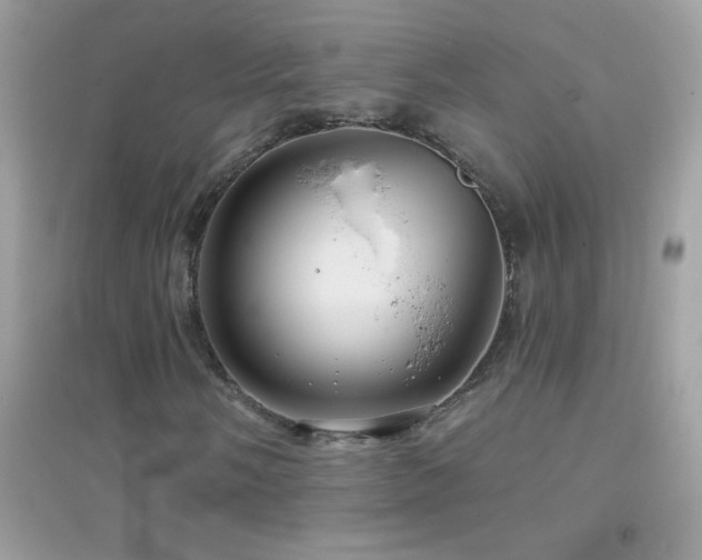 X0000095111058200712071212