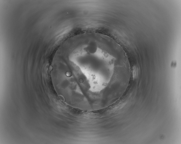 X0000095111059200712071212