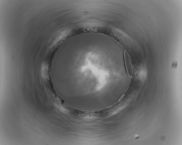 X0000095111060200712071212