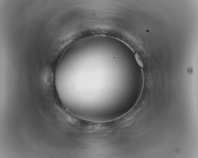 X0000095111061200712071212