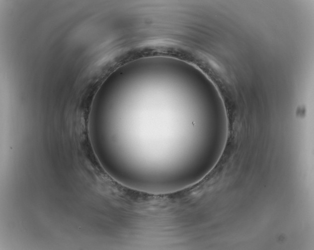 X0000095111062200712071212