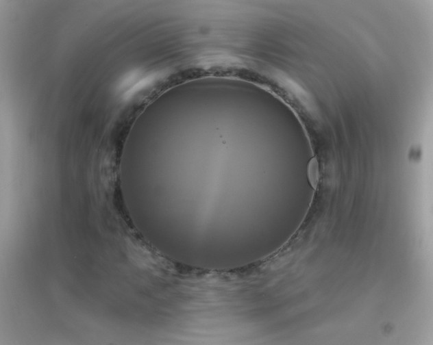 X0000095111063200712071212