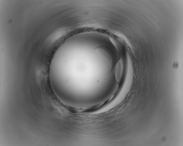 X0000095111064200712071212