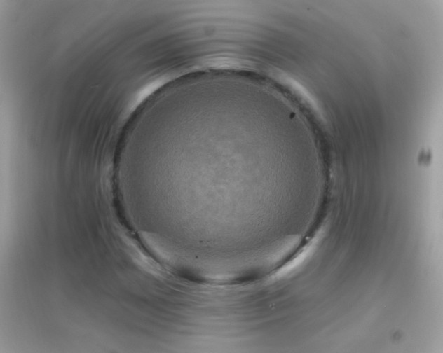 X0000095111065200712071212