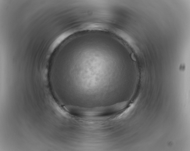 X0000095111066200712071212