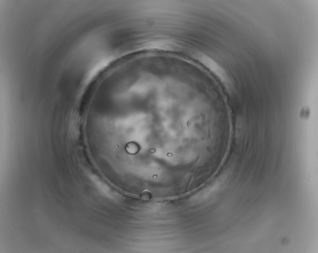 X0000095111067200712071212