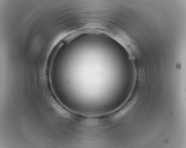 X0000095111068200712071212