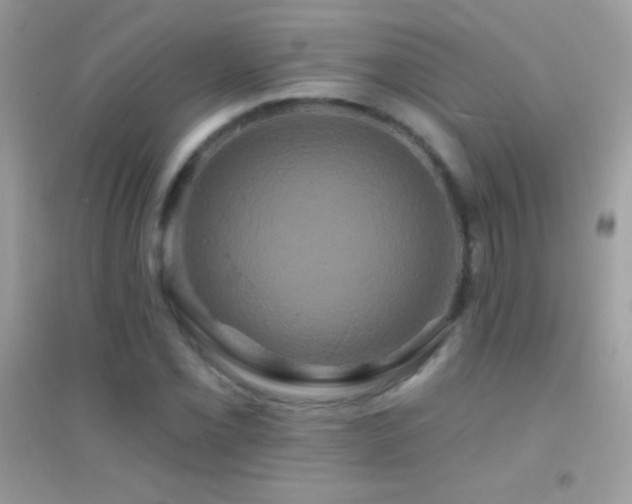 X0000095111069200712071212