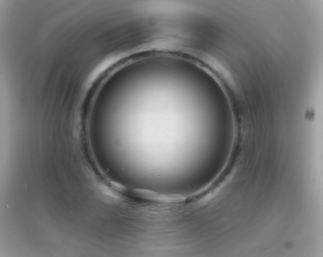 X0000095111070200712071212