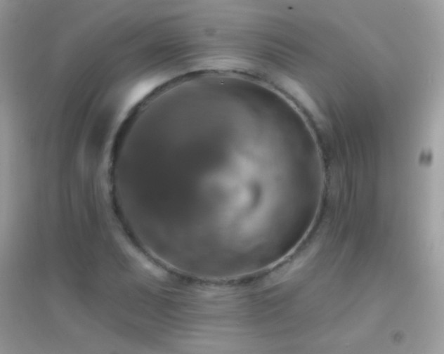 X0000095111071200712071212