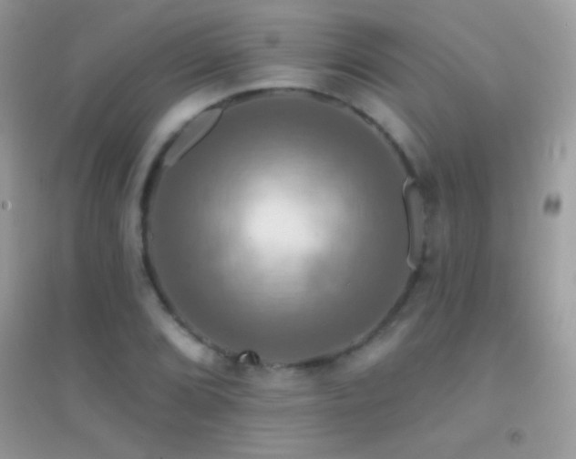 X0000095111072200712071212