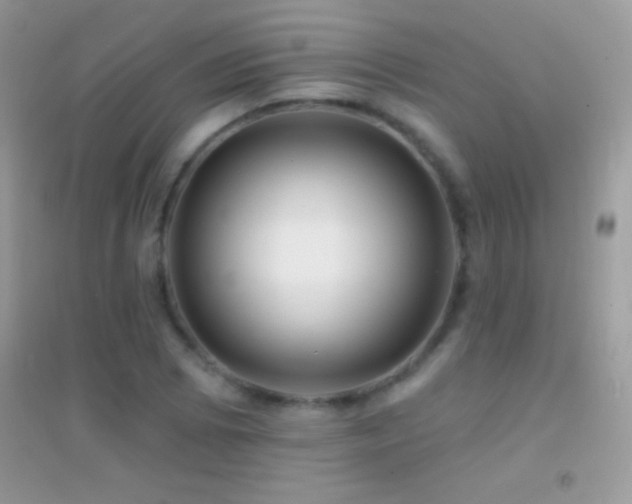 X0000095111073200712071212