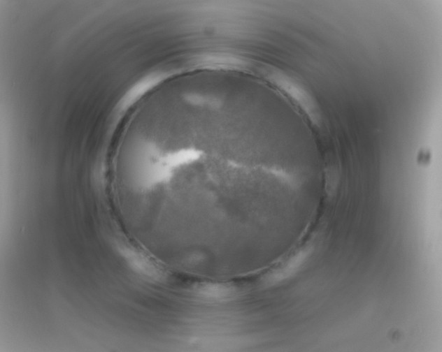 X0000095111074200712071212