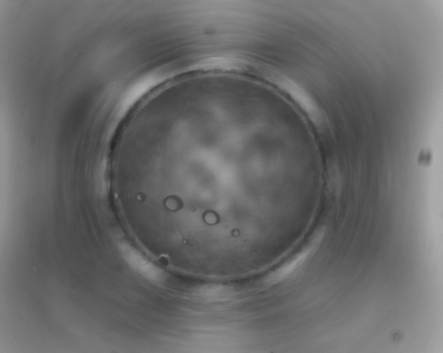 X0000095111075200712071212