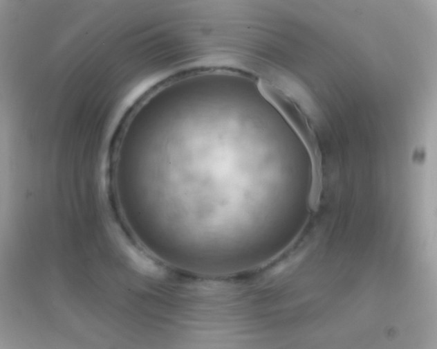 X0000095111076200712071211