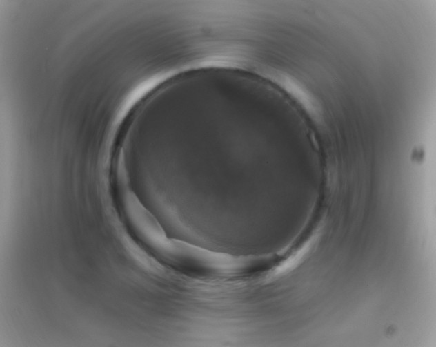 X0000095111077200712071211