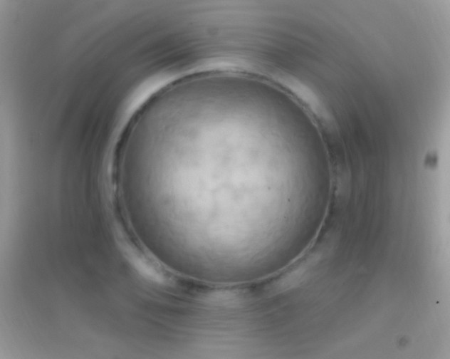 X0000095111078200712071211