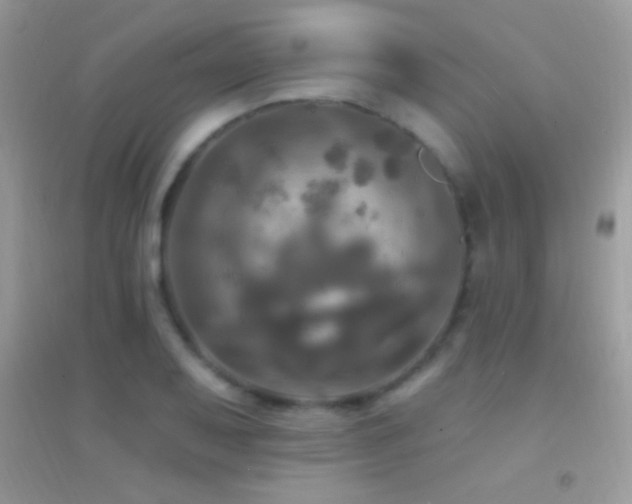 X0000095111079200712071211