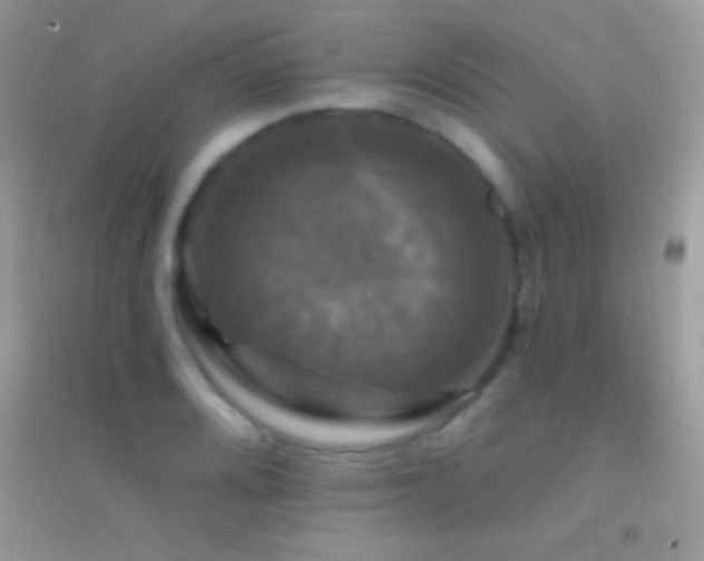 X0000095111080200712071211