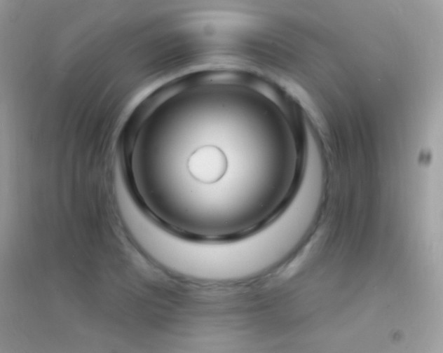 X0000095111081200712071211