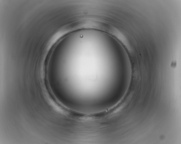 X0000095111082200712071211