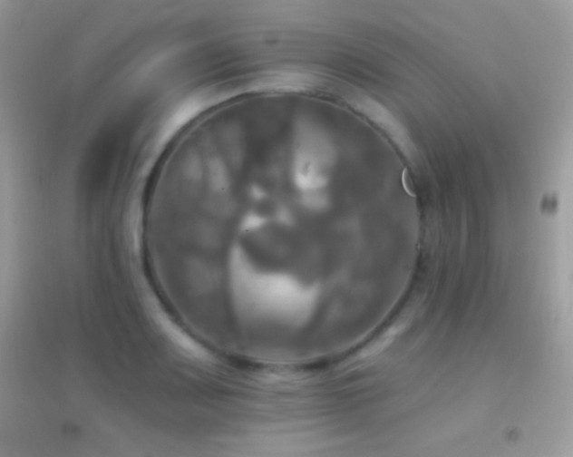 X0000095111083200712071211