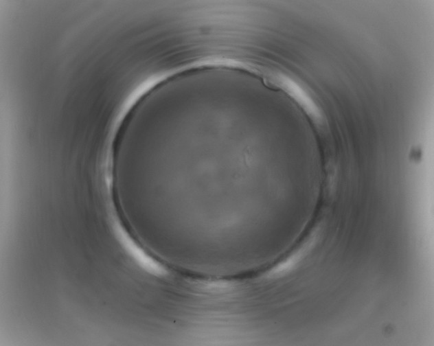 X0000095111084200712071211