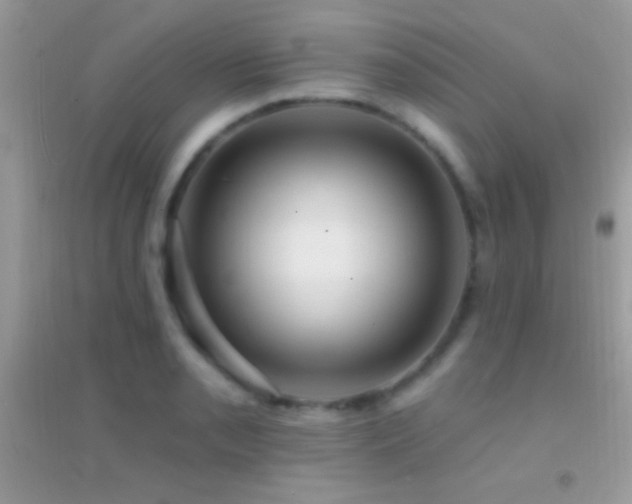 X0000095111085200712071211