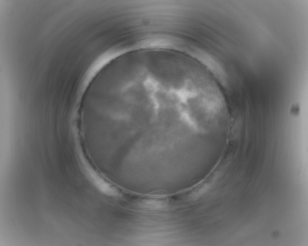 X0000095111086200712071211