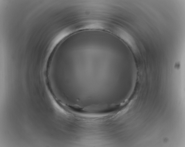 X0000095111087200712071211