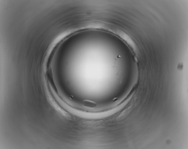 X0000095111088200712071211