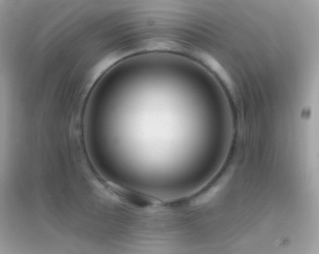 X0000095111089200712071211