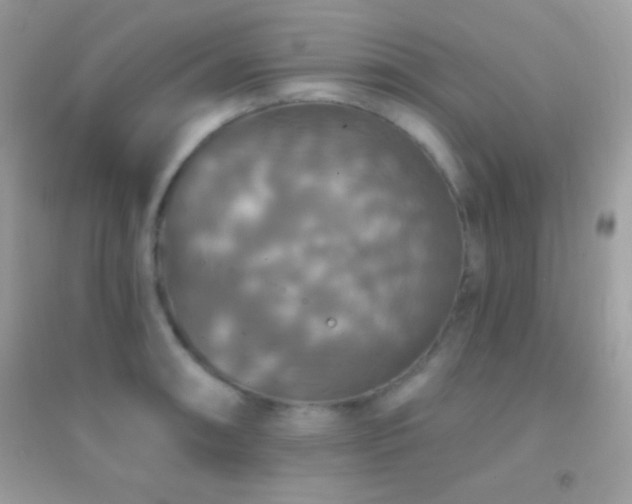 X0000095111090200712071211