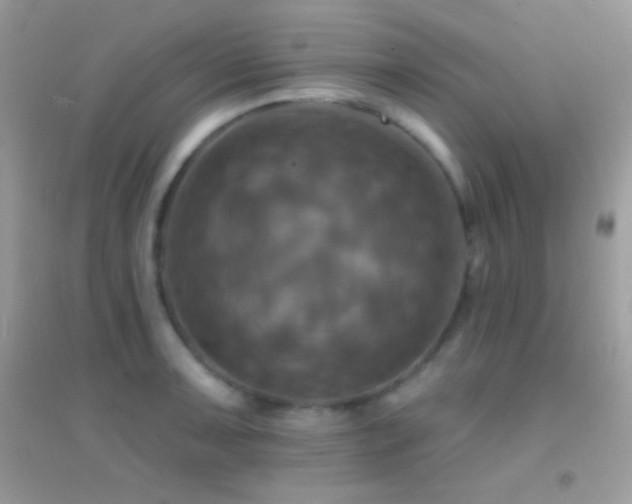 X0000095111091200712071211