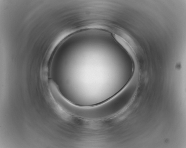 X0000095111092200712071211