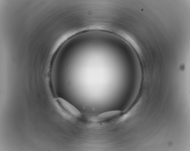 X0000095111093200712071211