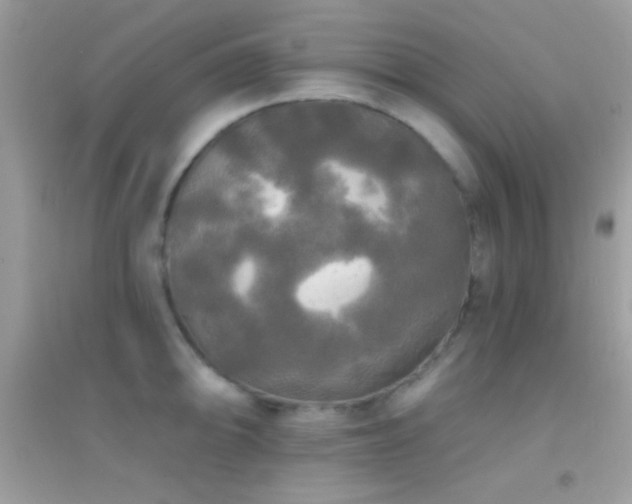 X0000095111094200712071211