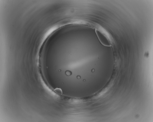 X0000095111095200712071211