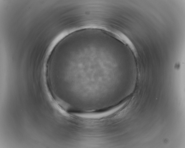 X0000095111096200712071211